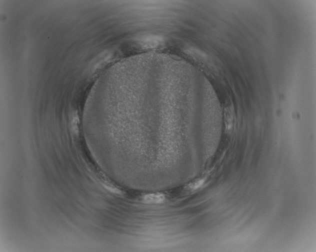 X0000074010279200609111631