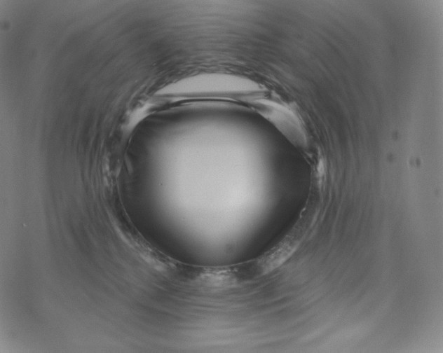 X0000074010280200609111631