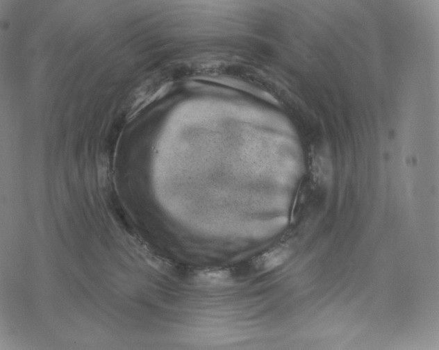 X0000074010283200609111631