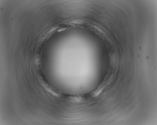 X0000074010284200609111631