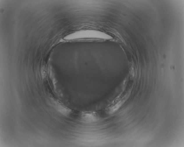 X0000074010285200609111631