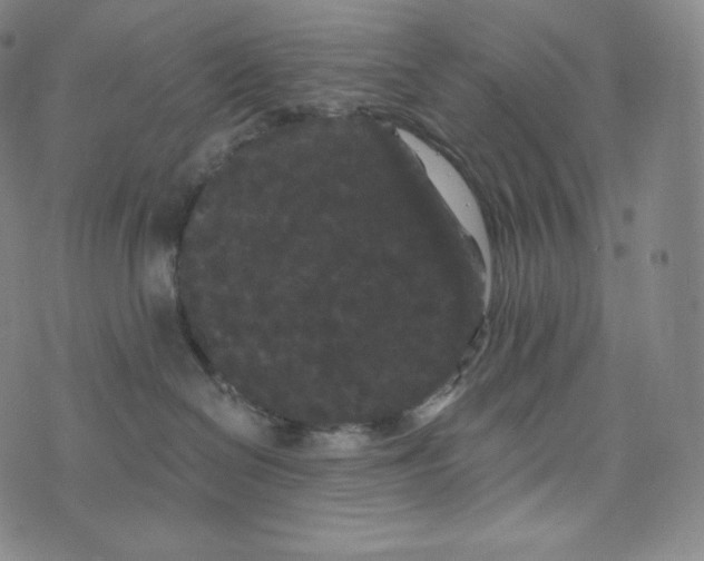 X0000074010286200609111631