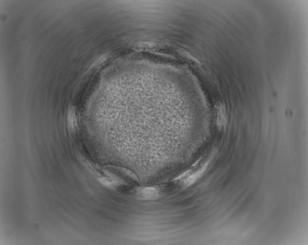 X0000074010287200609111631