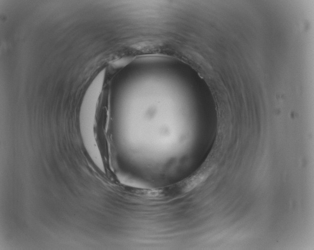 X0000074010288200609111631