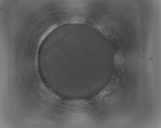 X0000074010292200609111630