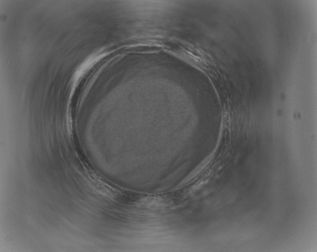 X0000074010294200609111630