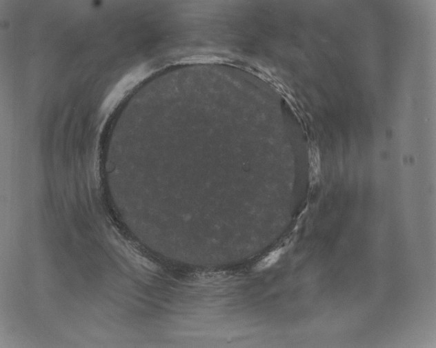 X0000074010296200609111630