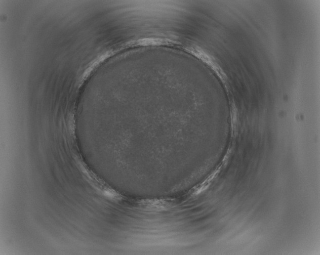 X0000074010297200609111630