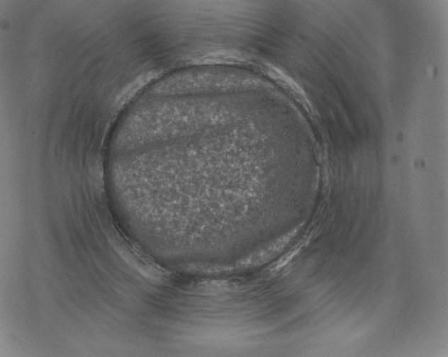 X0000074010298200609111630