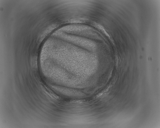 X0000074010299200609111630