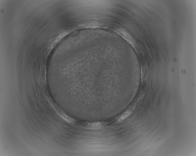 X0000074010301200609111630