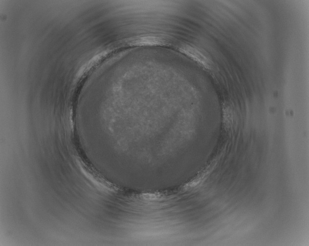 X0000074010302200609111630