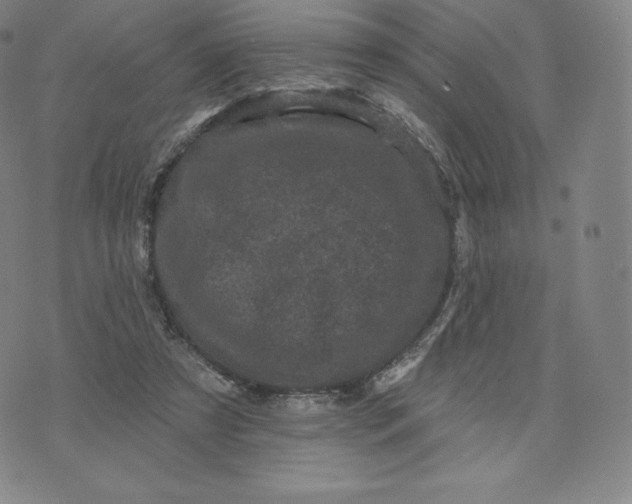 X0000074010305200609111630