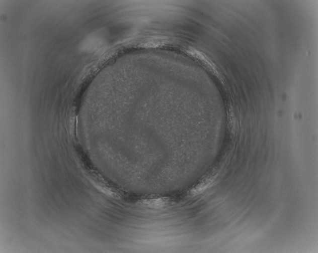 X0000074010307200609111630