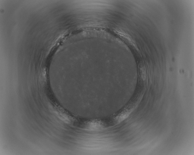 X0000074010308200609111630