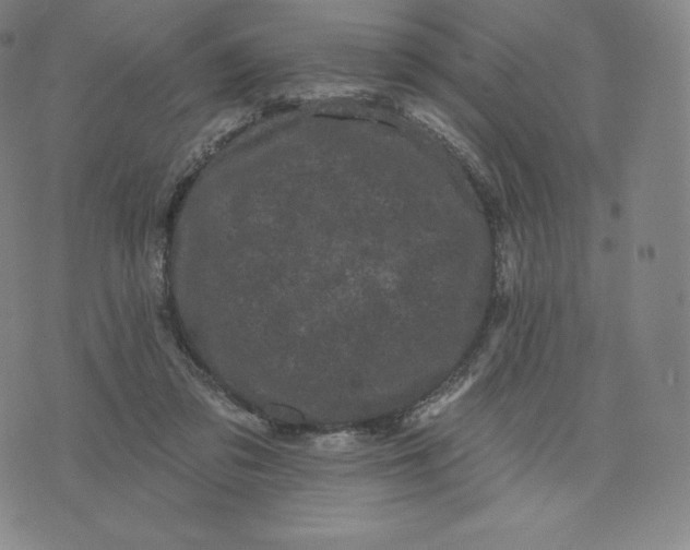 X0000074010309200609111630