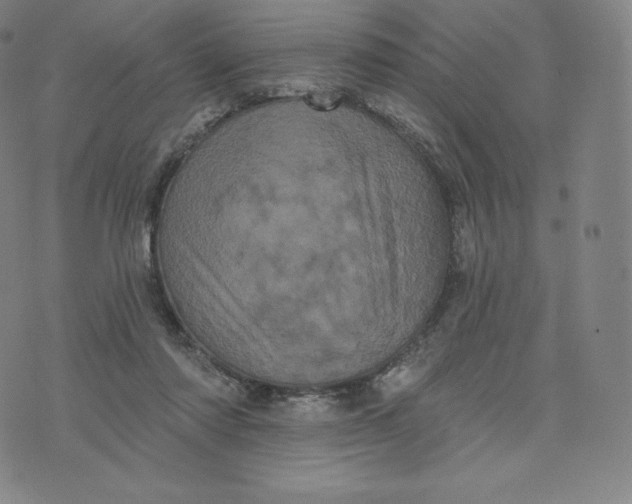 X0000074010310200609111630