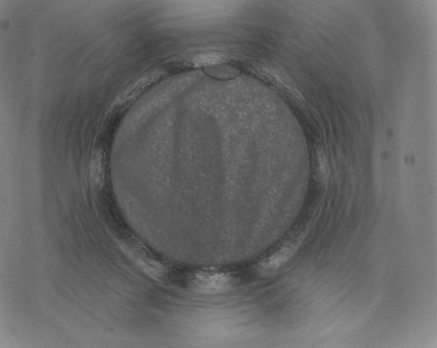 X0000074010311200609111630