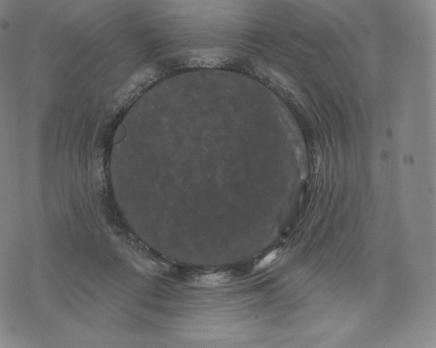 X0000074010312200609111630