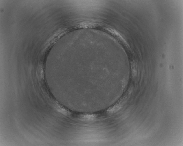 X0000074010313200609111630