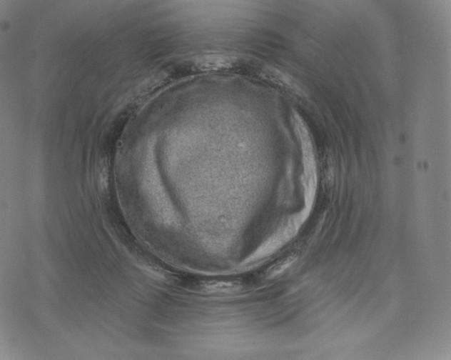 X0000074010315200609111630