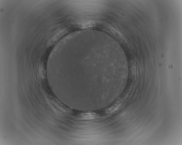 X0000074010316200609111630