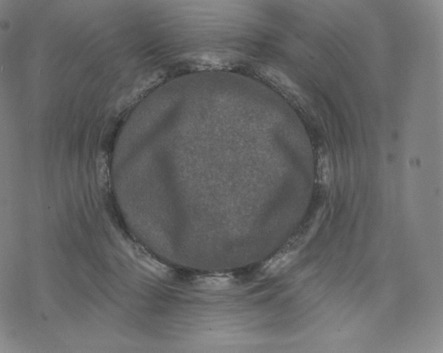 X0000074010318200609111630