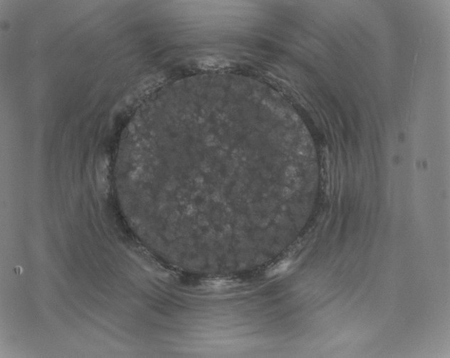 X0000074010319200609111630