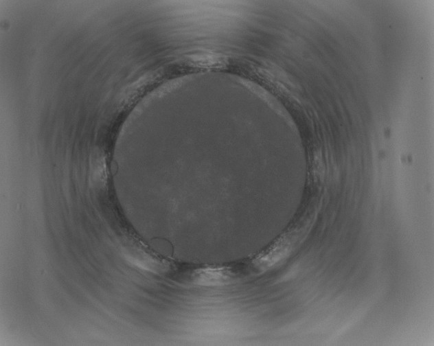 X0000074010320200609111630