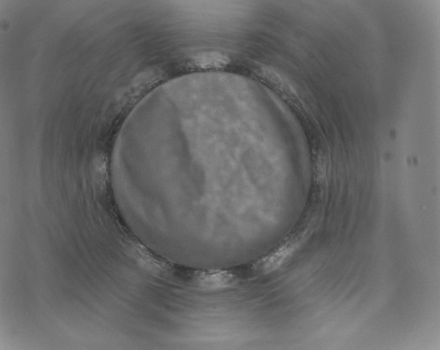 X0000074010321200609111630