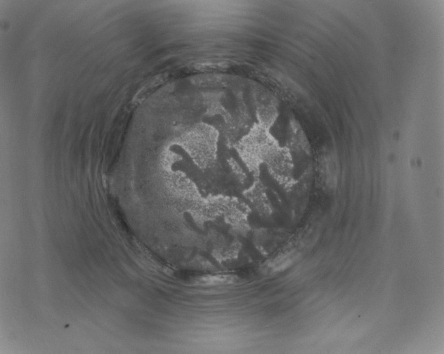 X0000074010323200609111630