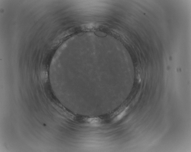 X0000074010324200609111630