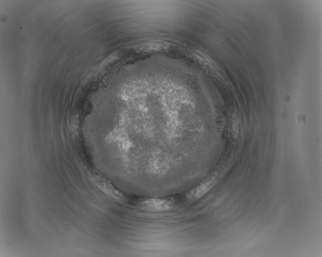 X0000074010326200609111630