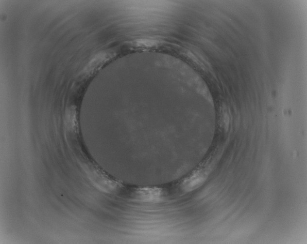 X0000074010328200609111630