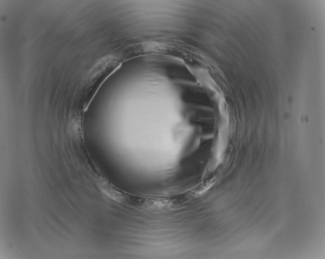 X0000074010329200609111630