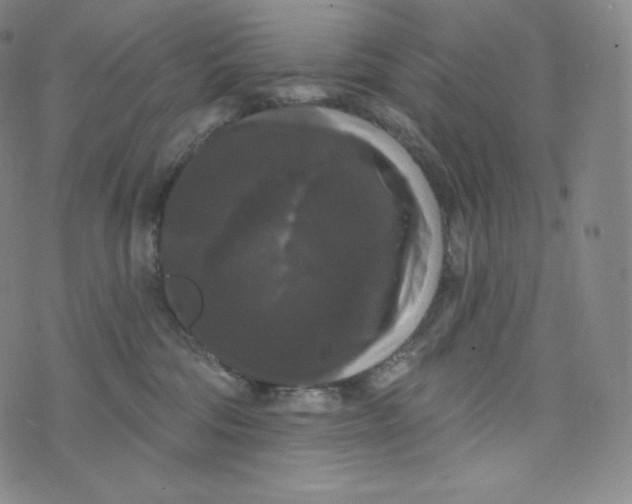 X0000074010330200609111630