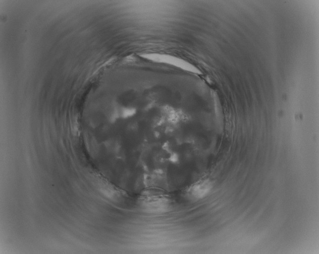 X0000074010331200609111630