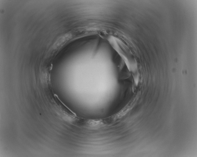 X0000074010333200609111630