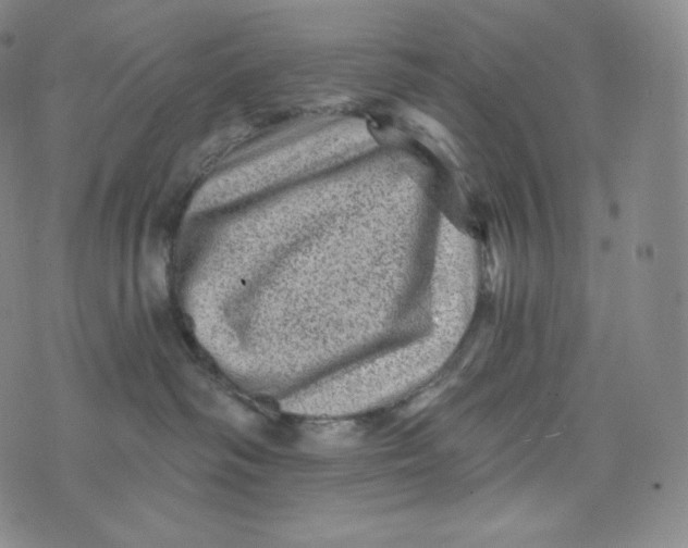 X0000074010334200609111630