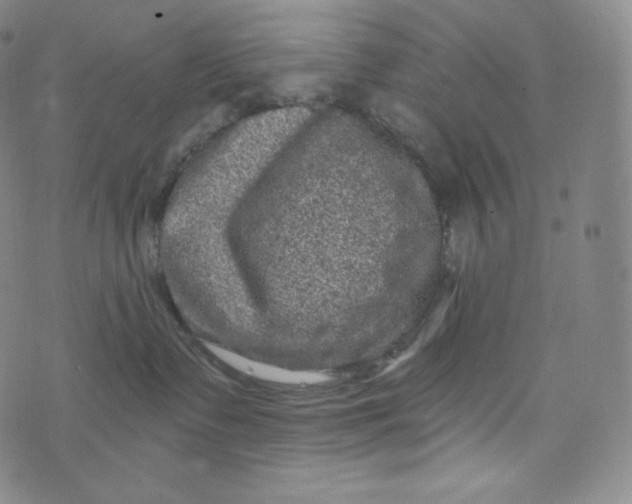 X0000074010335200609111630