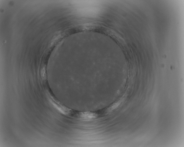 X0000074010336200609111630