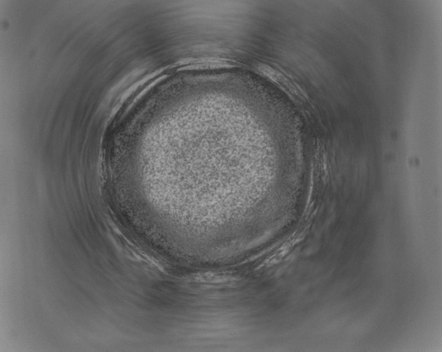 X0000074010338200609111629