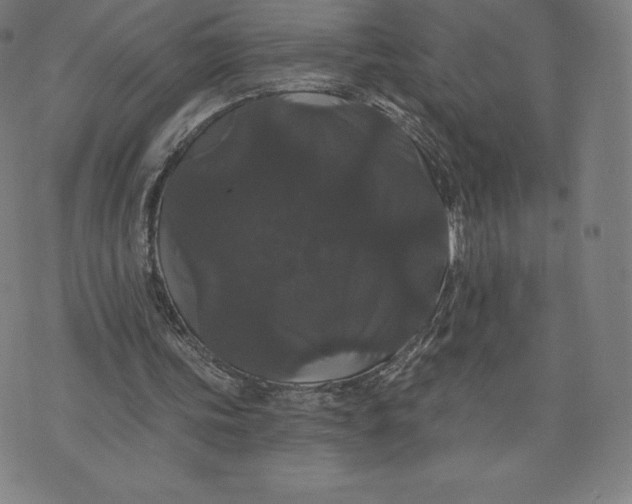 X0000074010339200609111629