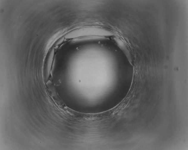 X0000074010340200609111629