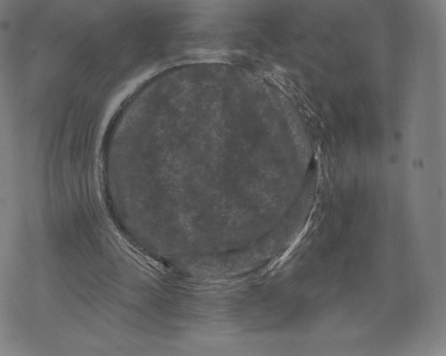 X0000074010342200609111629