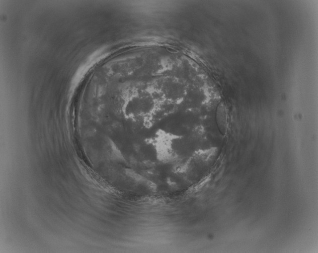 X0000074010343200609111629