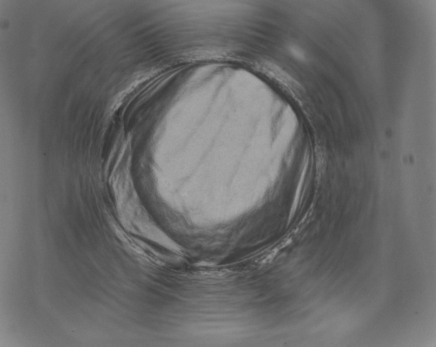 X0000074010345200609111629