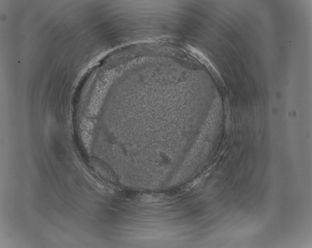 X0000074010346200609111629