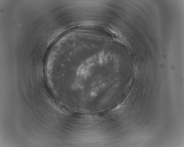 X0000074010347200609111629