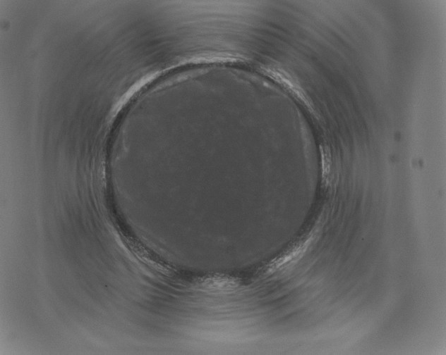 X0000074010348200609111629